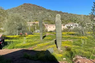 35819 N 17th Ave, Phoenix, AZ 85086 - Photo 33