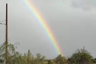 35819 N 17th Ave, Phoenix, AZ 85086 - Photo 3