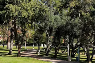 5959 W Del Rio St, Chandler, AZ 85226 - Photo 31