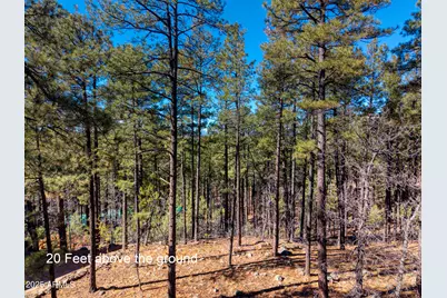 2189 Creekside Court #19, Pinetop, AZ 85935 - Photo 13