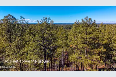 2189 Creekside Court #19, Pinetop, AZ 85935 - Photo 15
