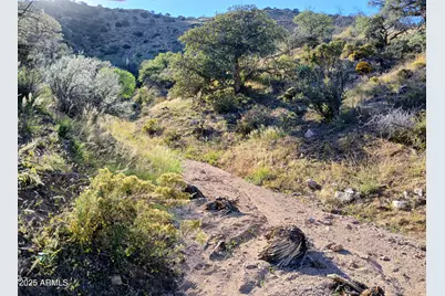 11699 N Last Chance Road, Elfrida, AZ 85610 - Photo 15