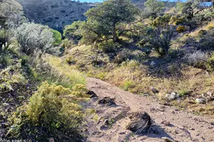 11699 N Last Chance Rd, Elfrida, AZ 85610 - Photo 15