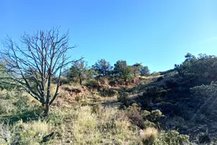 11699 N Last Chance Rd, Elfrida, AZ 85610 - Photo 17