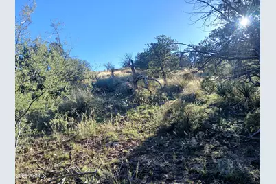 11699 N Last Chance Road, Elfrida, AZ 85610 - Photo 23