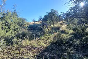 11699 N Last Chance Rd, Elfrida, AZ 85610 - Photo 23