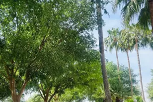 3301 S Goldfield Rd, Apache Junction, AZ 85119 - Photo 43