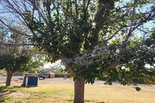 4901 W Churella Trail, Double Adobe, AZ 85617 - Photo 45