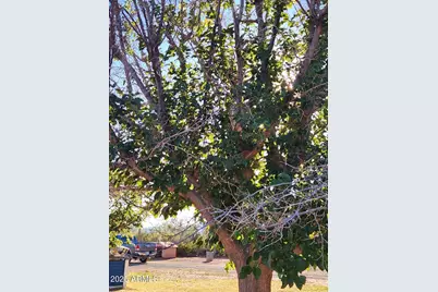 4901 W Churella Trail, Double Adobe, AZ 85617 - Photo 43