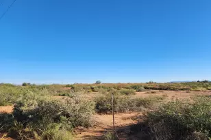 4901 W Churella Trail, Double Adobe, AZ 85617 - Photo 51