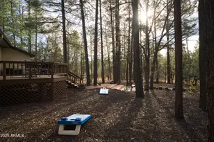 2237 Lockwood Dr, Lakeside, AZ 85929 - Photo 27
