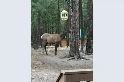 17 County Road 2195 --, Alpine, AZ 85920 - Photo 15