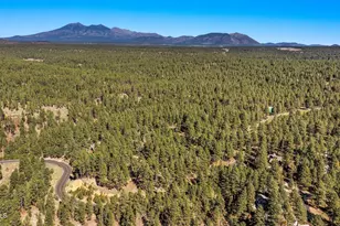 2082 William Palmer, Flagstaff, AZ 86005 - Photo 51