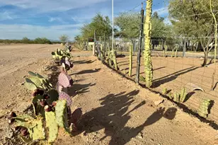 27021 N 211th Ave, Wittmann, AZ 85361 - Photo 43