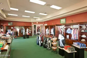 23811 S Berrybrook Dr, Sun Lakes, AZ 85248 - Photo 35