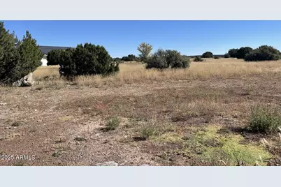 1951 Creekside Circle #77, Show Low, AZ 85901 - Photo 7