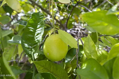 9391 E Cavalry Drive, Scottsdale, AZ 85262 - Photo 59