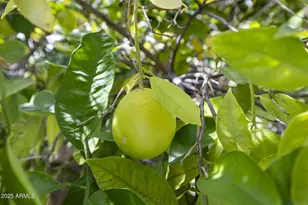 9391 E Cavalry Dr, Scottsdale, AZ 85262 - Photo 59