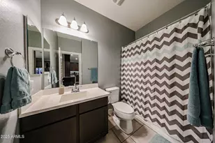 3639 E Sophie Ln, Phoenix, AZ 85042 - Photo 23