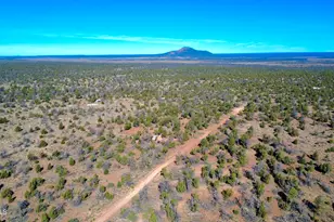 5690 N Cubby Bear Wy, Williams, AZ 86046 - Photo 1