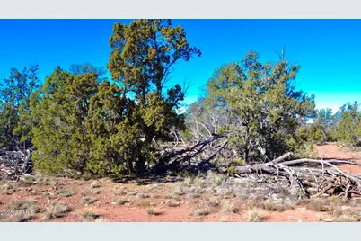 5690 N Cubby Bear Way #126, Williams, AZ 86046 - Photo 5