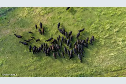 10647 E Swinging Bridge Lane, Cornville, AZ 86325 - Photo 9