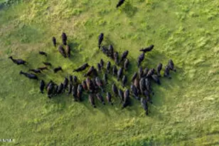 10647 E Swinging Bridge Ln, Cornville, AZ 86325 - Photo 9