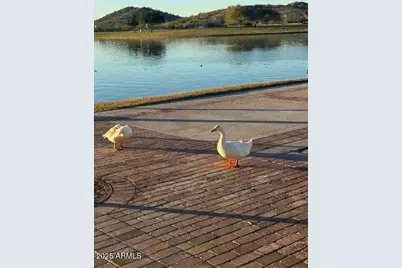 17502 W Arroyo Way, Goodyear, AZ 85338 - Photo 69