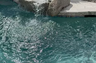 1247 E Sunset Dr, Casa Grande, AZ 85122 - Photo 3