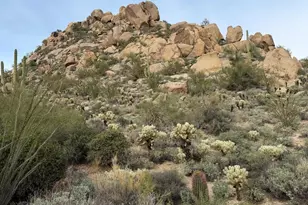 11140 E White Feather Ln, Scottsdale, AZ 85262 - Photo 69