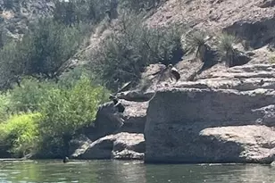 624 S Tonto Creek Dr S, Payson, AZ 85541 - Photo 3