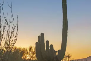 10448 E Skinner Dr, Scottsdale, AZ 85262 - Photo 61