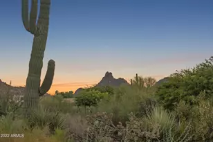 10448 E Skinner Dr, Scottsdale, AZ 85262 - Photo 59