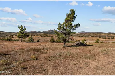 88.1 Acres Sickles Ranch Ranch #-0, Peeples Valley, AZ 86332 - Photo 11