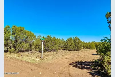 128 Co Rd 8061 1.27 Acres -- #-, Concho, AZ 85924 - Photo 5