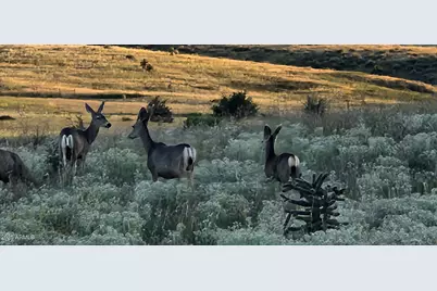 4 Mustang Trail, Sonoita, AZ 85637 - Photo 107
