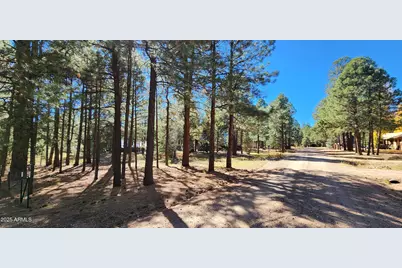 1958 Ferret Circle #260, Forest Lakes, AZ 85931 - Photo 7