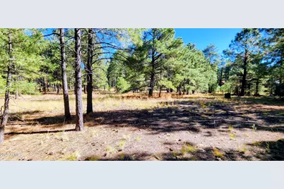 1958 Ferret Circle #260, Forest Lakes, AZ 85931 - Photo 5