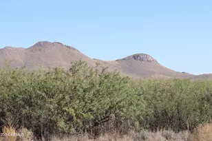 Tbd088 E Antelope Rd, Pearce, AZ 85625 - Photo 1