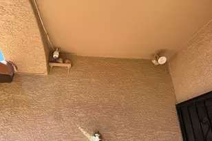 11002 W Yukon Dr, Peoria, AZ 85373 - Photo 53