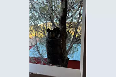 861 S Palomino Way, Payson, AZ 85541 - Photo 17