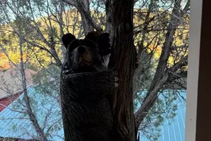 861 S Palomino Way, Payson, AZ 85541 - Photo 17