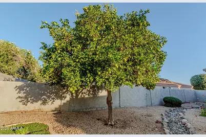 13558 W Young Street, Surprise, AZ 85374 - Photo 31