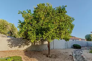 13558 W Young St, Surprise, AZ 85374 - Photo 31