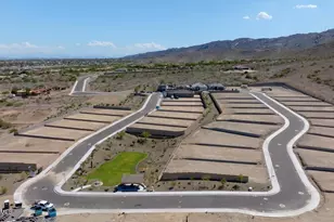 10218 S 21st Dr, Phoenix, AZ 85041 - Photo 31