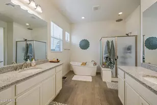 40587 N Spotted Ln, San Tan Valley, AZ 85140 - Photo 11