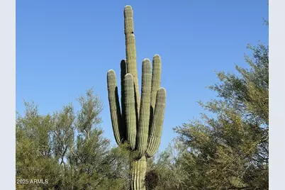 142Xx E Tumbleweed Drive #-, Scottsdale, AZ 85262 - Photo 17