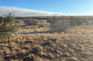 1565 Pumpkin Patch Rd, Winslow, AZ 86047 - Photo 7