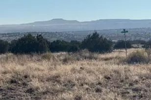 955 W 33rd S Pl S, Saint Johns, AZ 85936 - Photo 33