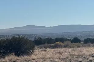 955 W 33rd S Pl S, Saint Johns, AZ 85936 - Photo 27